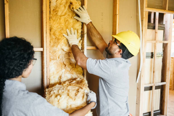 Best Insulation Inspection Services  in Lynnwood Pricedale, PA